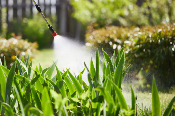 Tamper-Resistant Bait Stations for Rodents in White Marsh