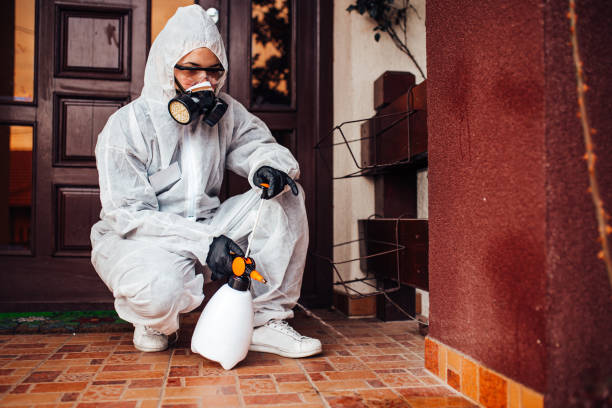 Attic and Crawl Space Rodent Treatment in White Marsh